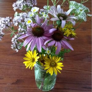 Read more about the article Recognizing Beauty: The Importance of Perspective