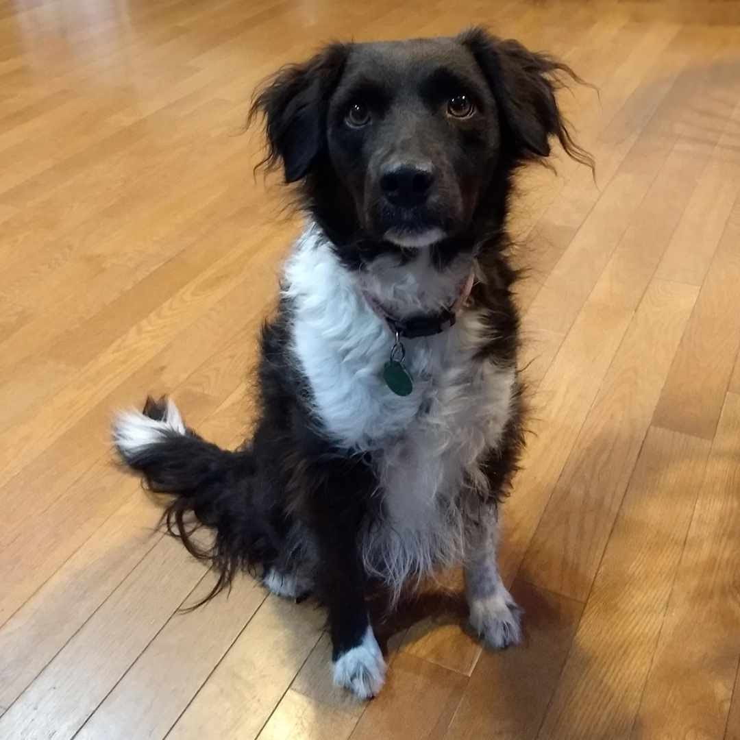 You are currently viewing Choosing Growth Over Comfort, One Wet Walk at a Time