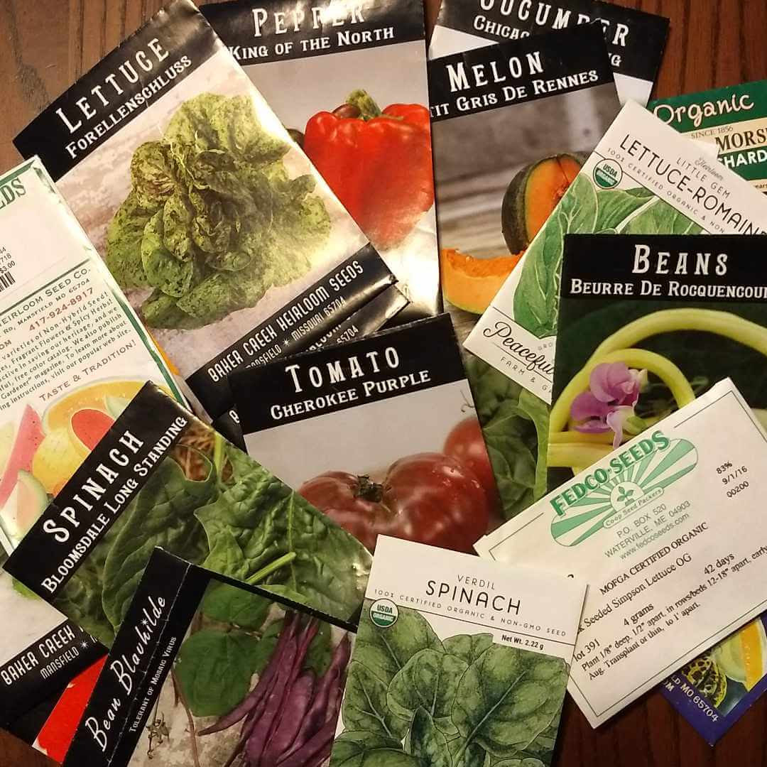 You are currently viewing Planting Hope: What Gardening Can Teach Us About Second Chances