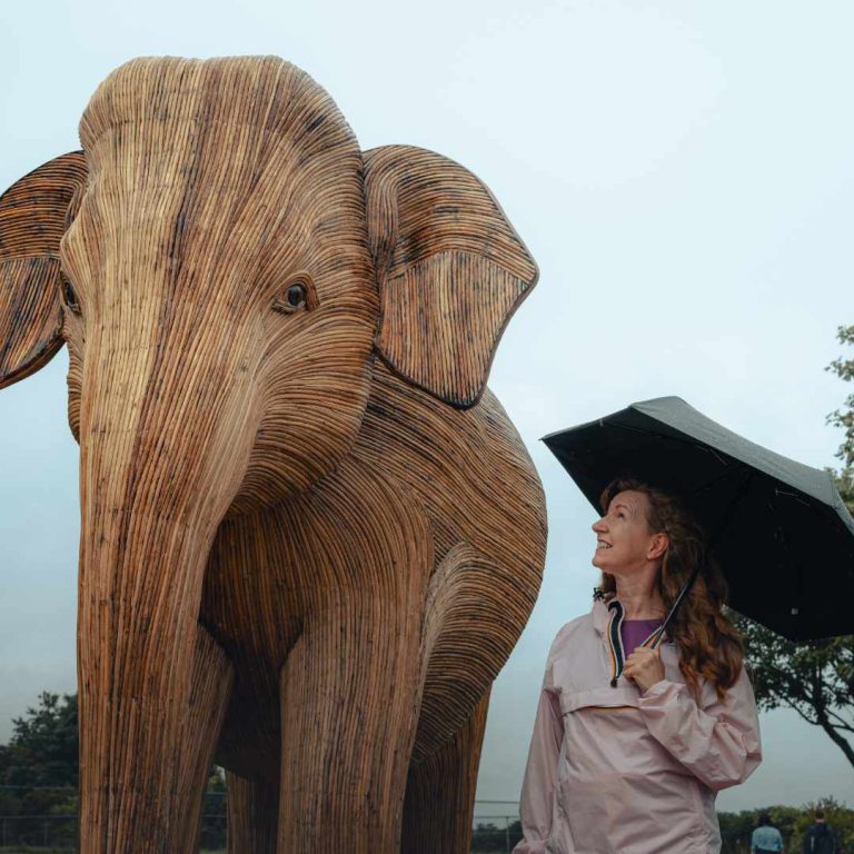 Read more about the article Seizing Joy in the Rain: A Birthday to Remember