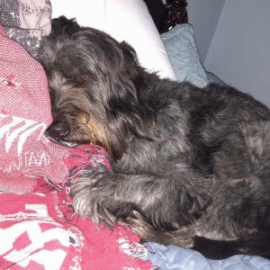 Waiting for Sleep: A Reminder That Every Trial Has an End