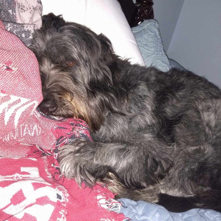 Read more about the article Waiting for Sleep: A Reminder That Every Trial Has an End