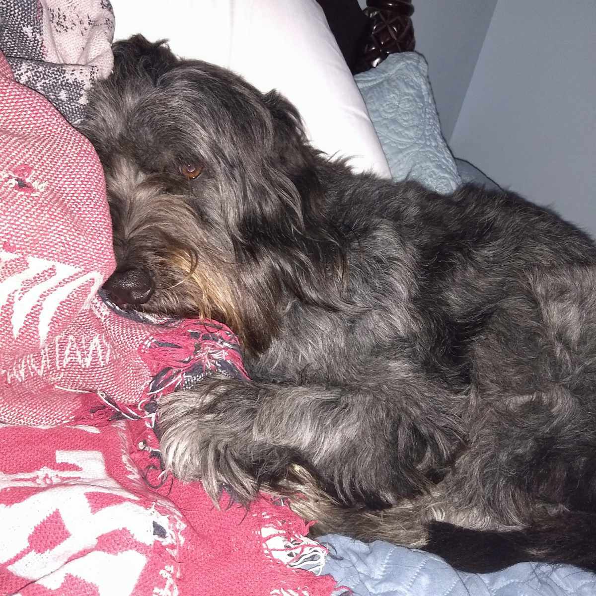 You are currently viewing Waiting for Sleep: A Reminder That Every Trial Has an End