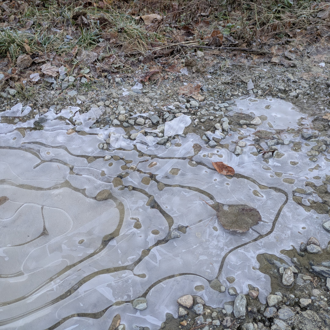 You are currently viewing Walking on Thin Ice: Finding Hope in Stressful Seasons