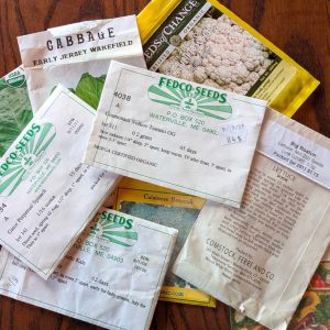 a gardening lesson for life seed packets