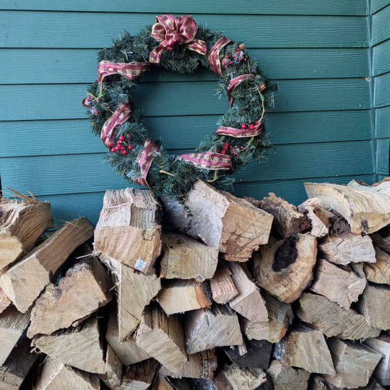 Read more about the article Rekindling Joy When Seasons Change