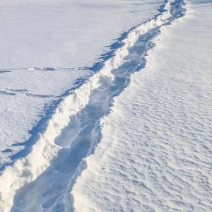 a narrow path through deep snow
