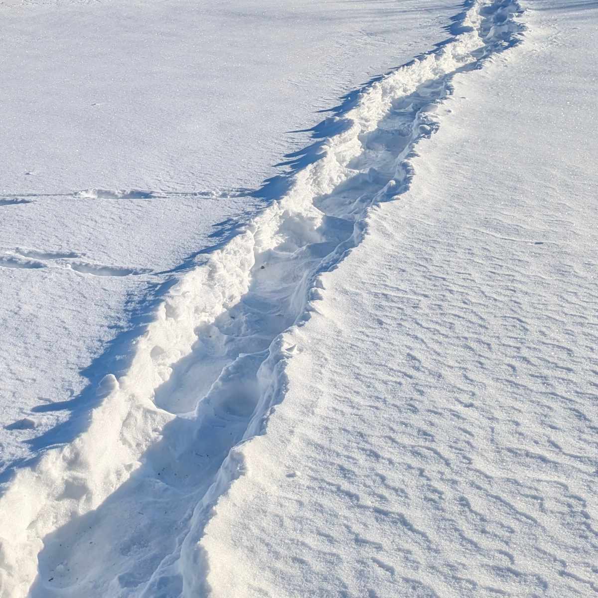 You are currently viewing The Paths We Make for Others