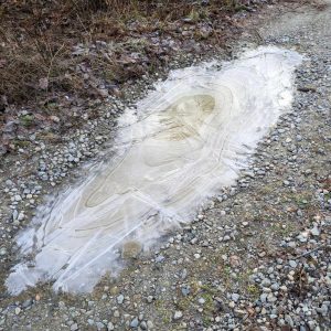 A puddle covered with a layer of ice